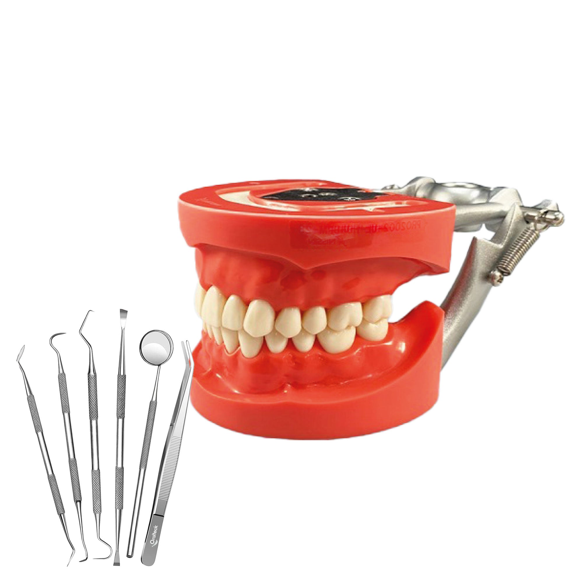 Kit instrumentos multiuso modelos de laboratorio y prácticas para estudiantes